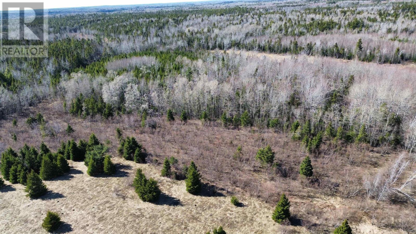 5882 New Truro Road, New Annan, Nova Scotia  B0K 1V0 - Photo 29 - 202608253