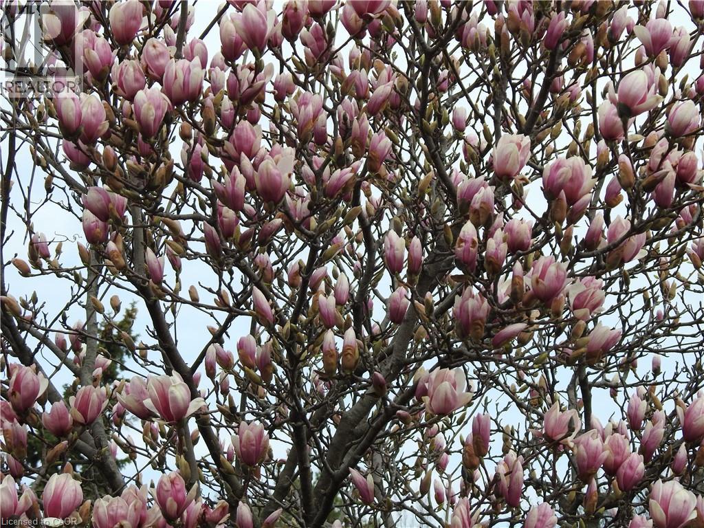 395 Maidstone Crescent, Oakville, Ontario  L6M 1C1 - Photo 50 - 40810257