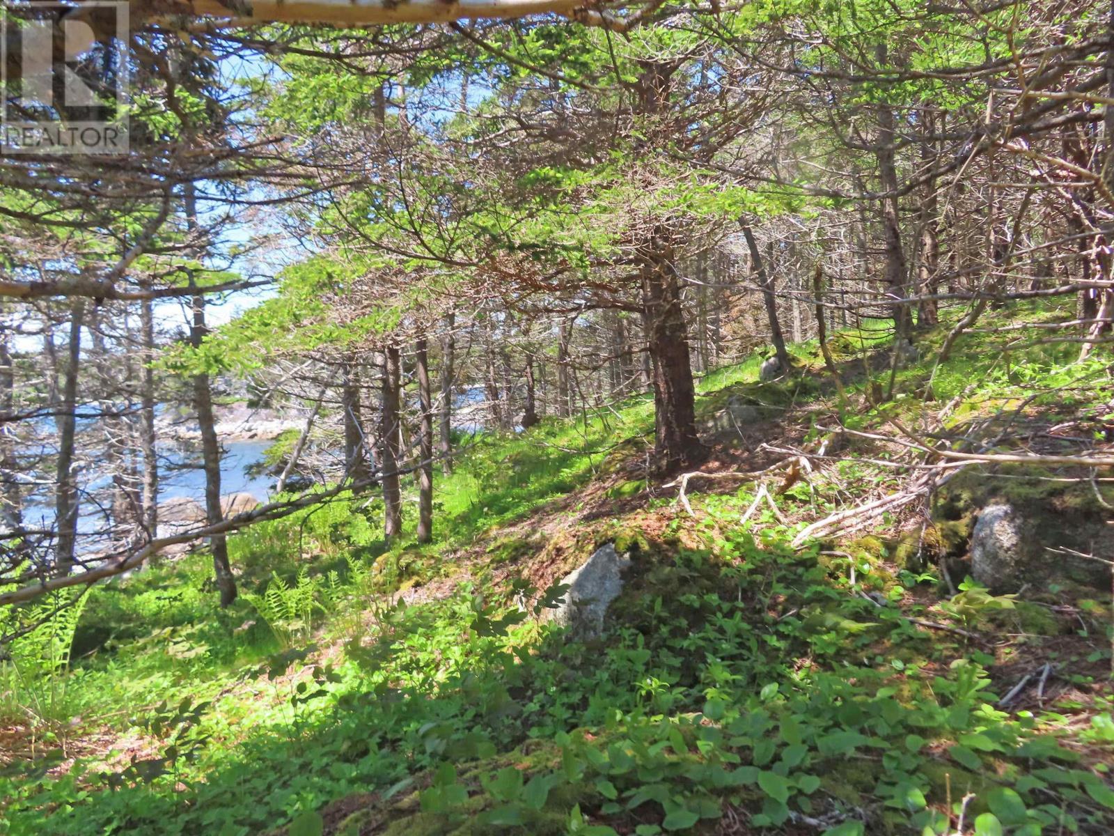 Lot 4 316 Hwy (Grovers Point), Cole Harbour, Nova Scotia  B0H 1T0 - Photo 17 - 202608254