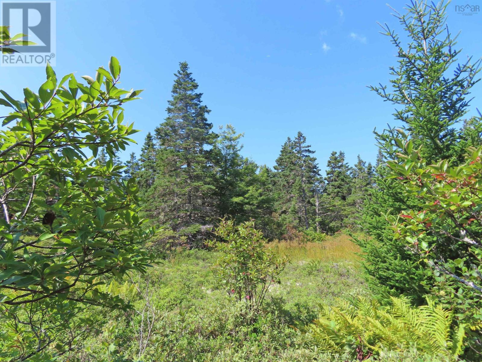 Lot 4 316 Hwy (Grovers Point), Cole Harbour, Nova Scotia  B0H 1T0 - Photo 18 - 202608254