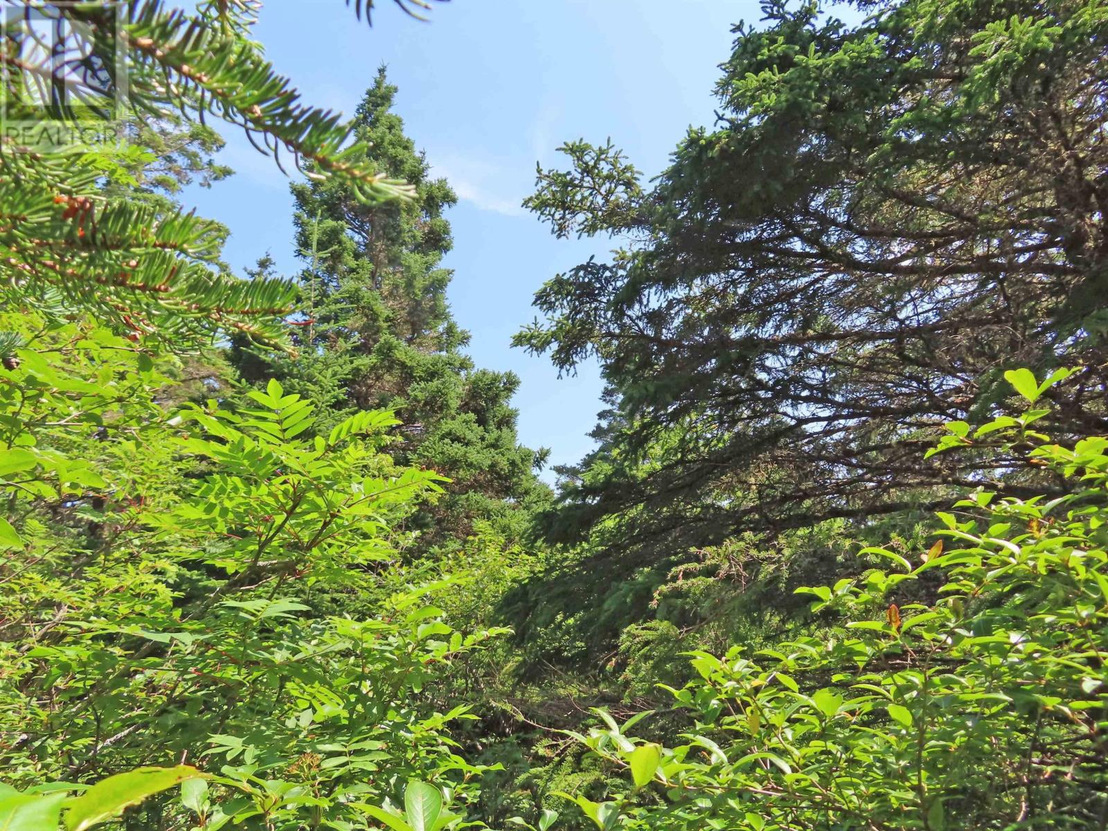 Lot 4 316 Hwy (Grovers Point), Cole Harbour, Nova Scotia  B0H 1T0 - Photo 19 - 202608254