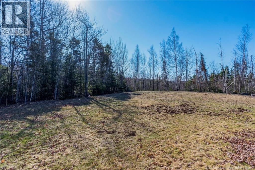 30 Potts, Mcintosh Hill, New Brunswick  E4S 4K7 - Photo 9 - NB137737