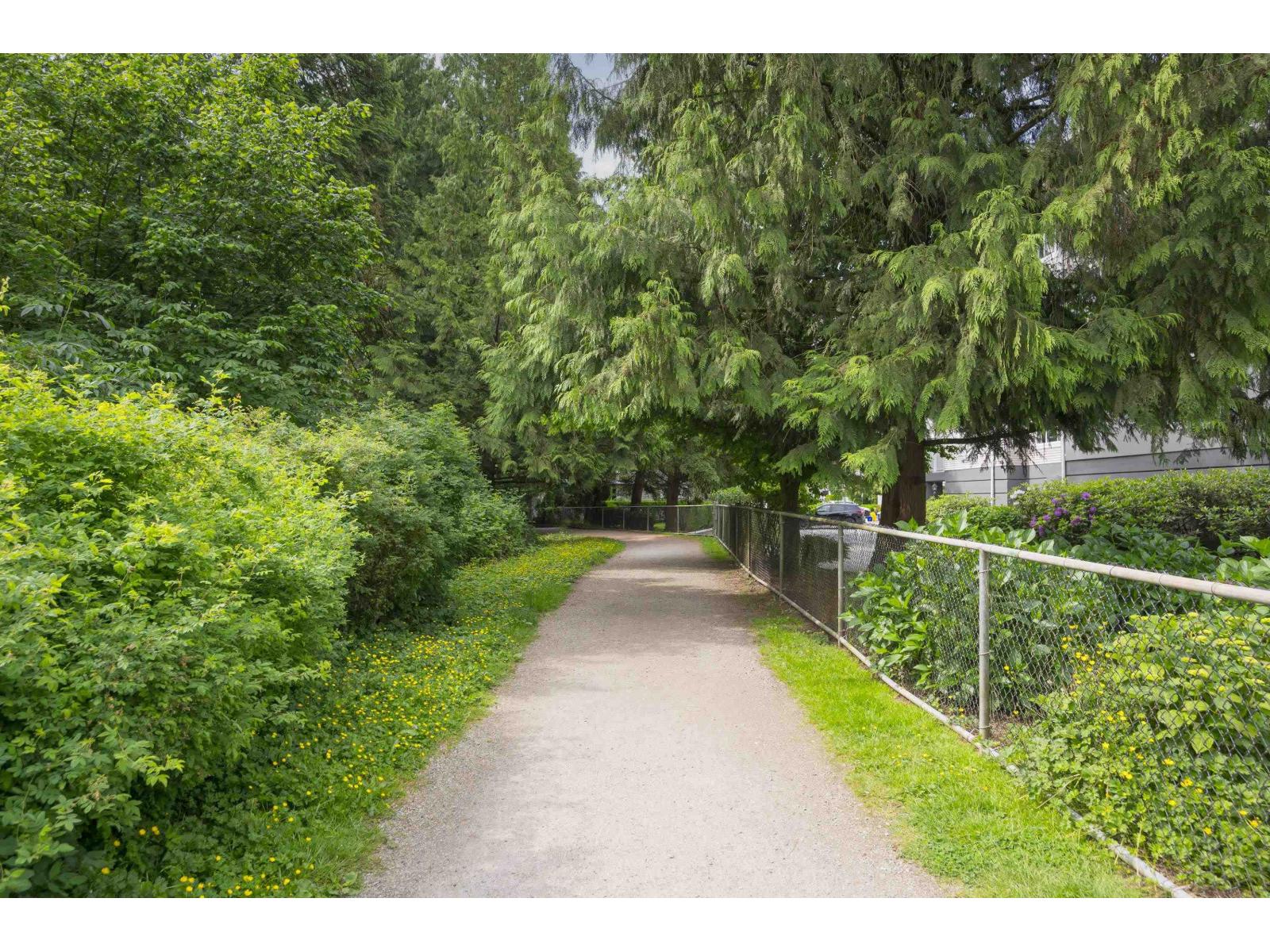 302 9018 208 Street, Langley, British Columbia  V1M 2Y8 - Photo 36 - R3113359