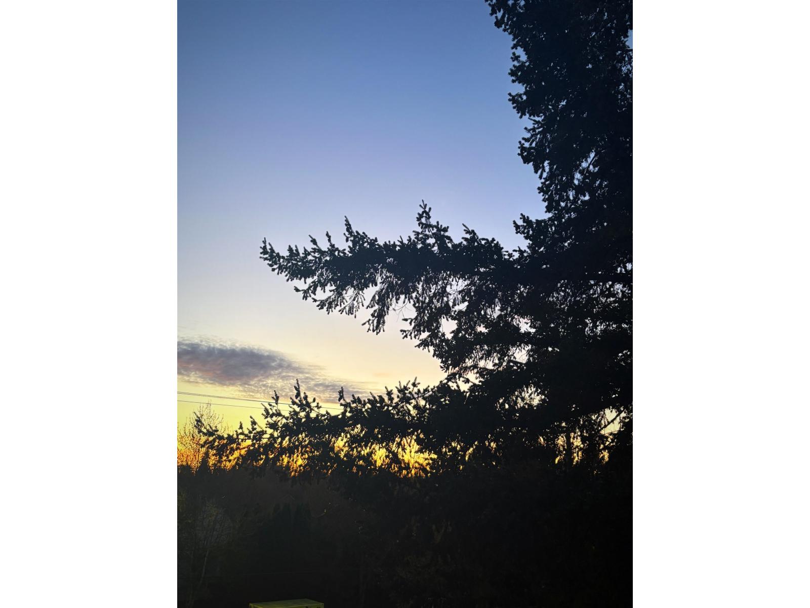 302 9018 208 Street, Langley, British Columbia  V1M 2Y8 - Photo 39 - R3113359