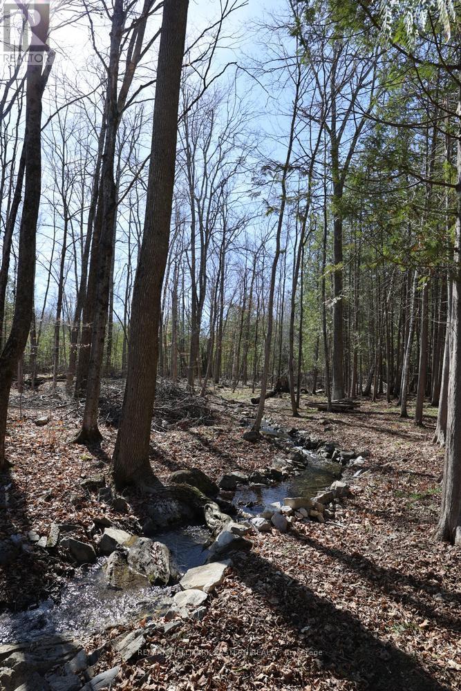 2160 County Road 46, Havelock-Belmont-Methuen, Ontario  K0L 1Z0 - Photo 44 - X12898934