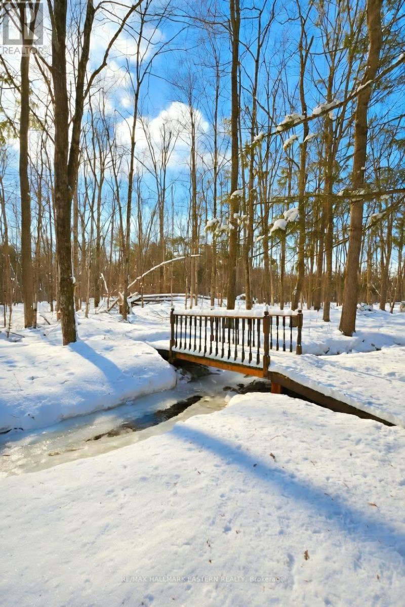 2160 County Road 46, Havelock-Belmont-Methuen, Ontario  K0L 1Z0 - Photo 5 - X12898934