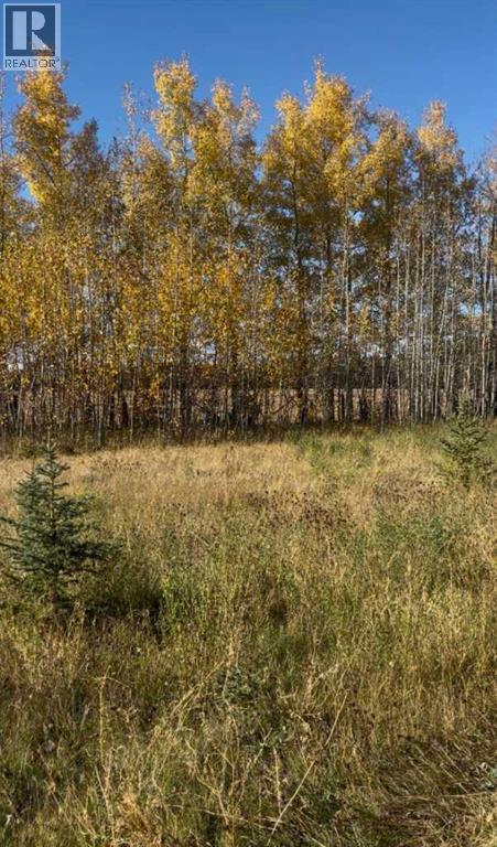 51038 Township Road 36-0a, Rural Clearwater County, Alberta  T0M 0M0 - Photo 23 - A2293984