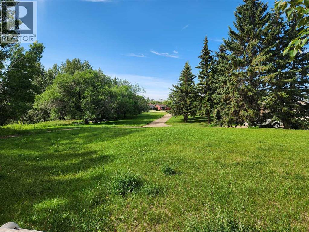 5430 51a Street, Bashaw, Alberta  T0B 0H0 - Photo 9 - A2247537