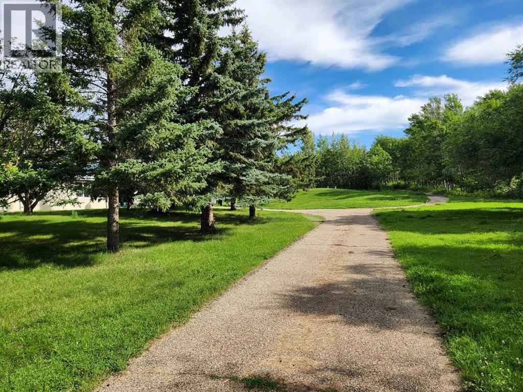 5430 51a Street, Bashaw, Alberta  T0B 0H0 - Photo 5 - A2247537
