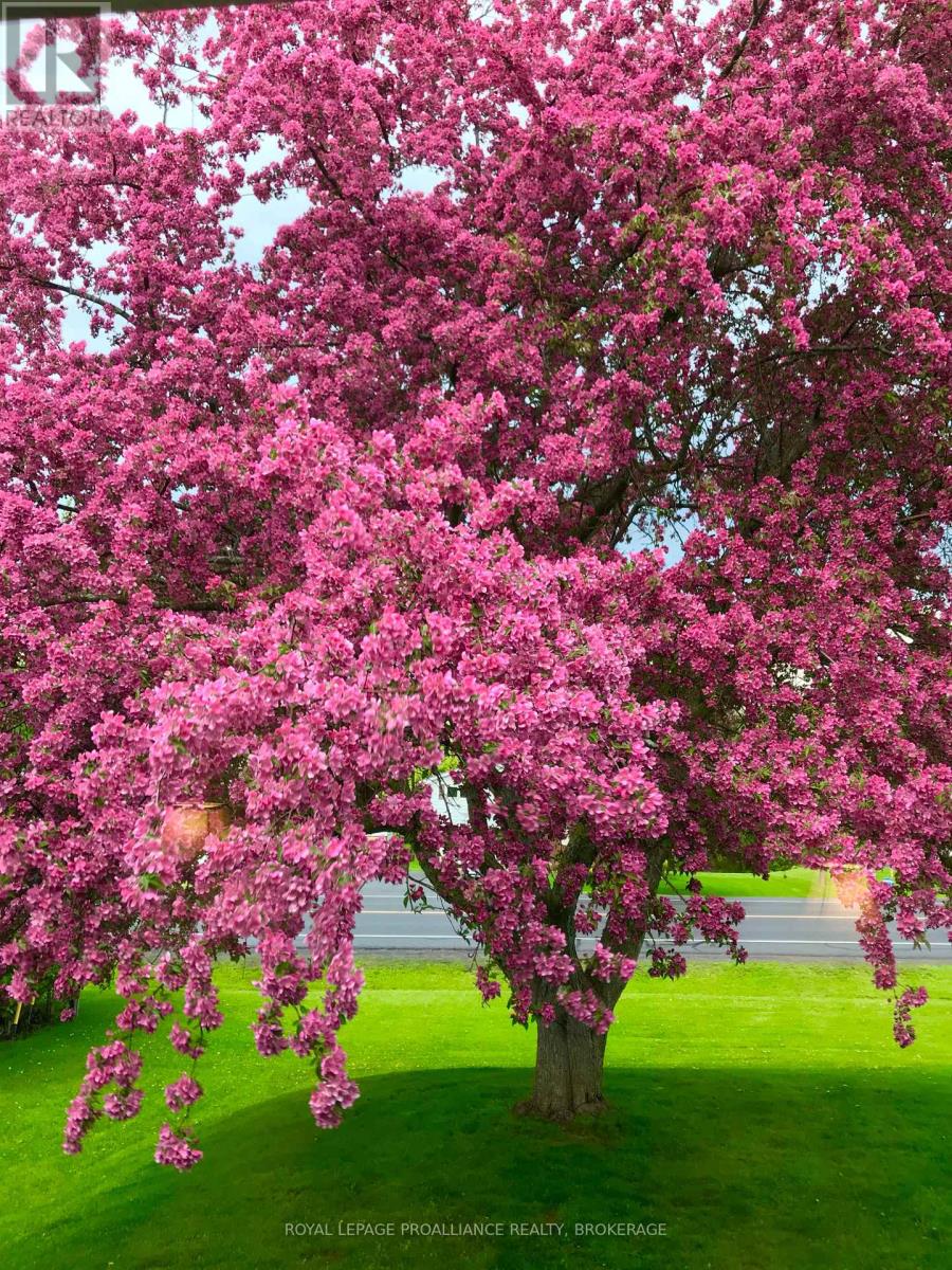 56 River Road, Greater Napanee, Ontario  K7R 3H4 - Photo 29 - X13031316