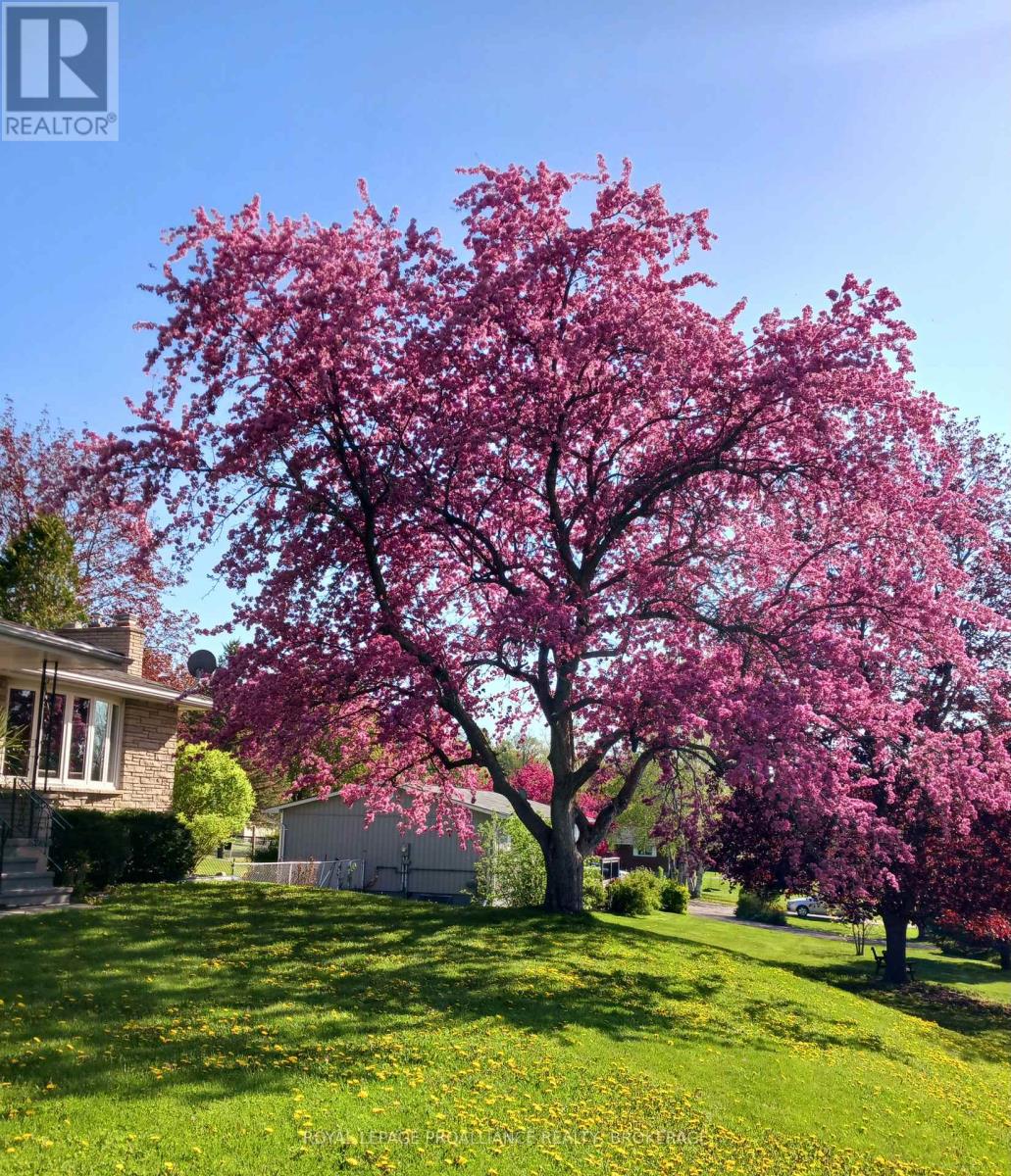 56 River Road, Greater Napanee, Ontario  K7R 3H4 - Photo 30 - X13031316