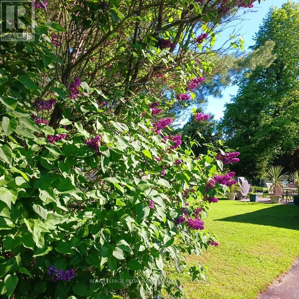 56 River Road, Greater Napanee, Ontario  K7R 3H4 - Photo 33 - X13031316