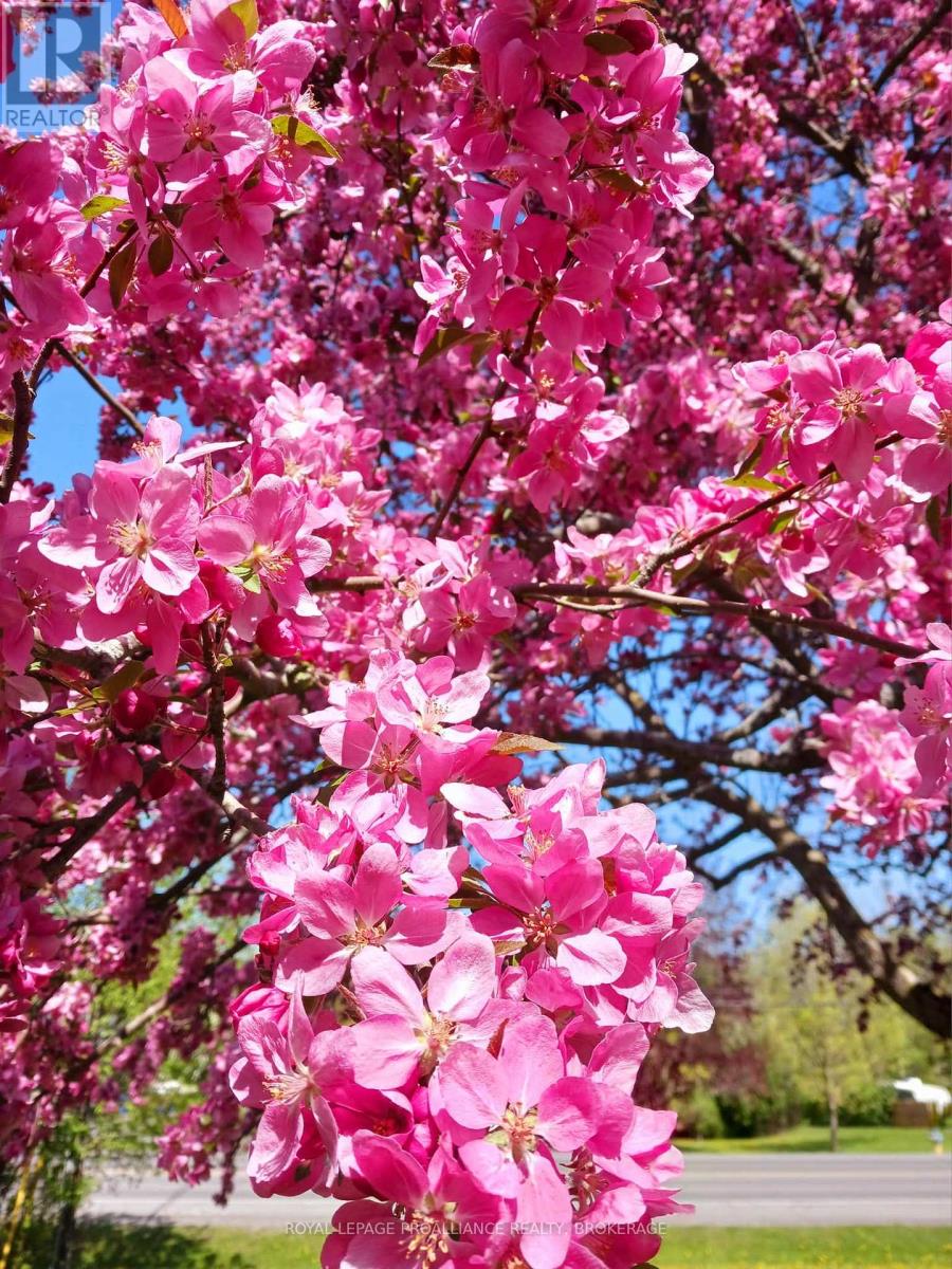 56 River Road, Greater Napanee, Ontario  K7R 3H4 - Photo 34 - X13031316