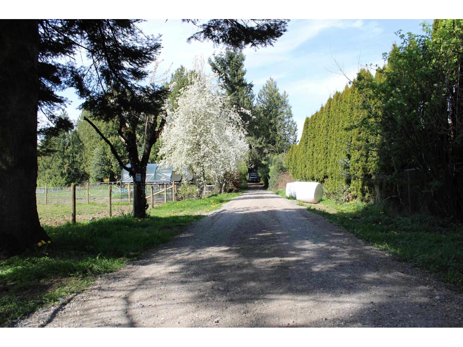 28927 Buchanan Avenue, Abbotsford, British Columbia  V4X 2C8 - Photo 6 - R3114021