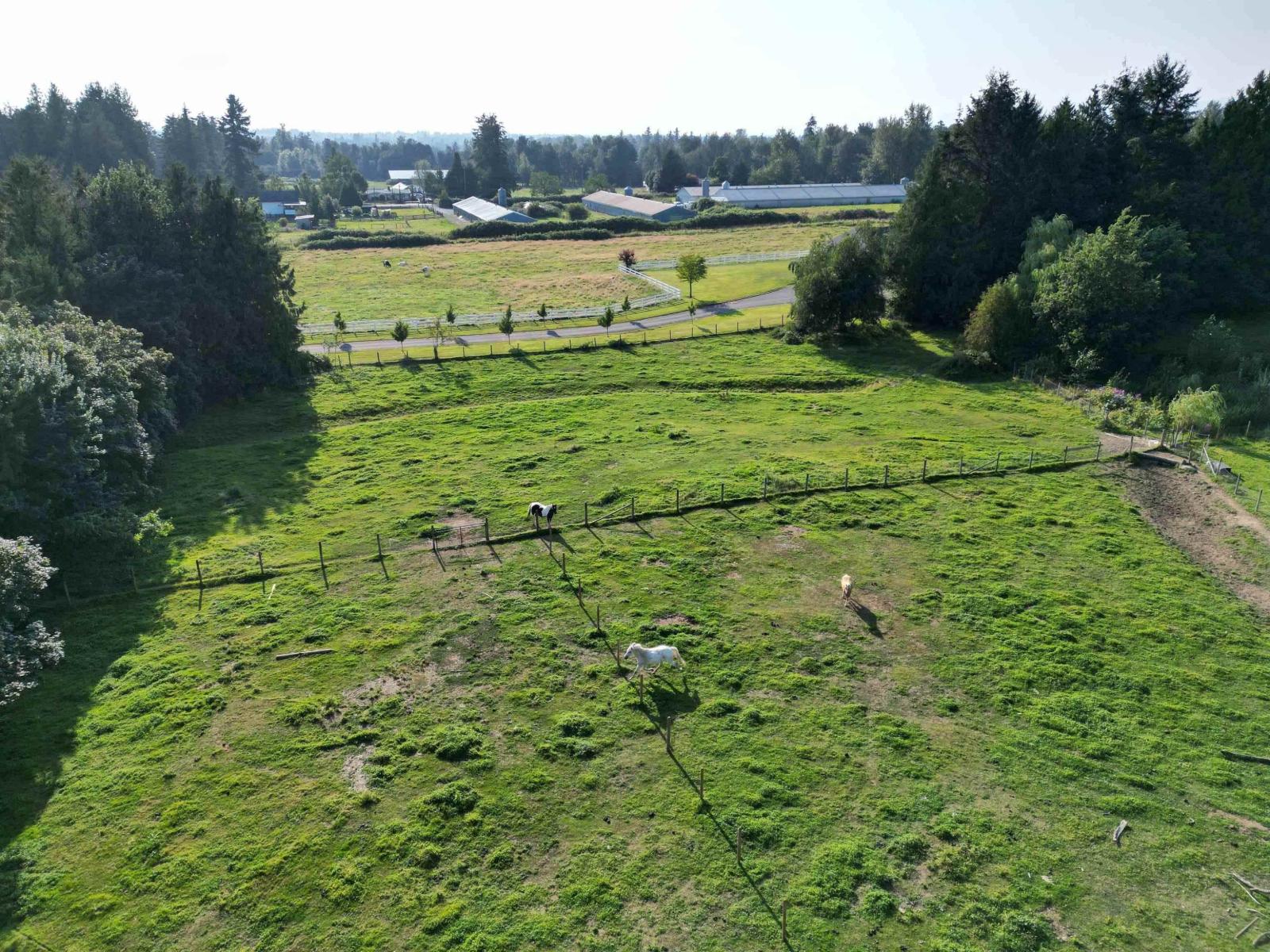 28927 Buchanan Avenue, Abbotsford, British Columbia  V4X 2C8 - Photo 20 - R3114021