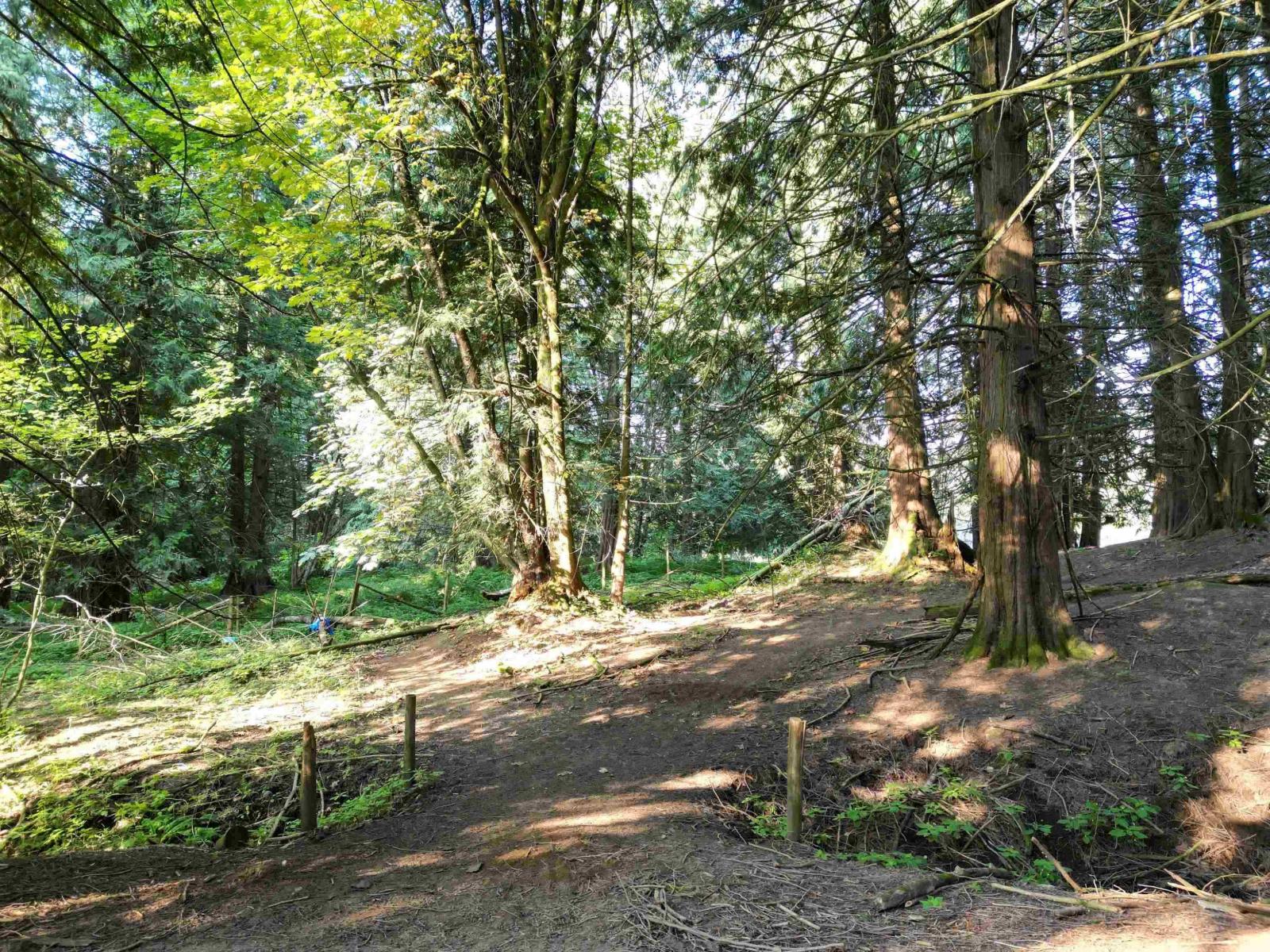 28927 Buchanan Avenue, Abbotsford, British Columbia  V4X 2C8 - Photo 16 - R3114021