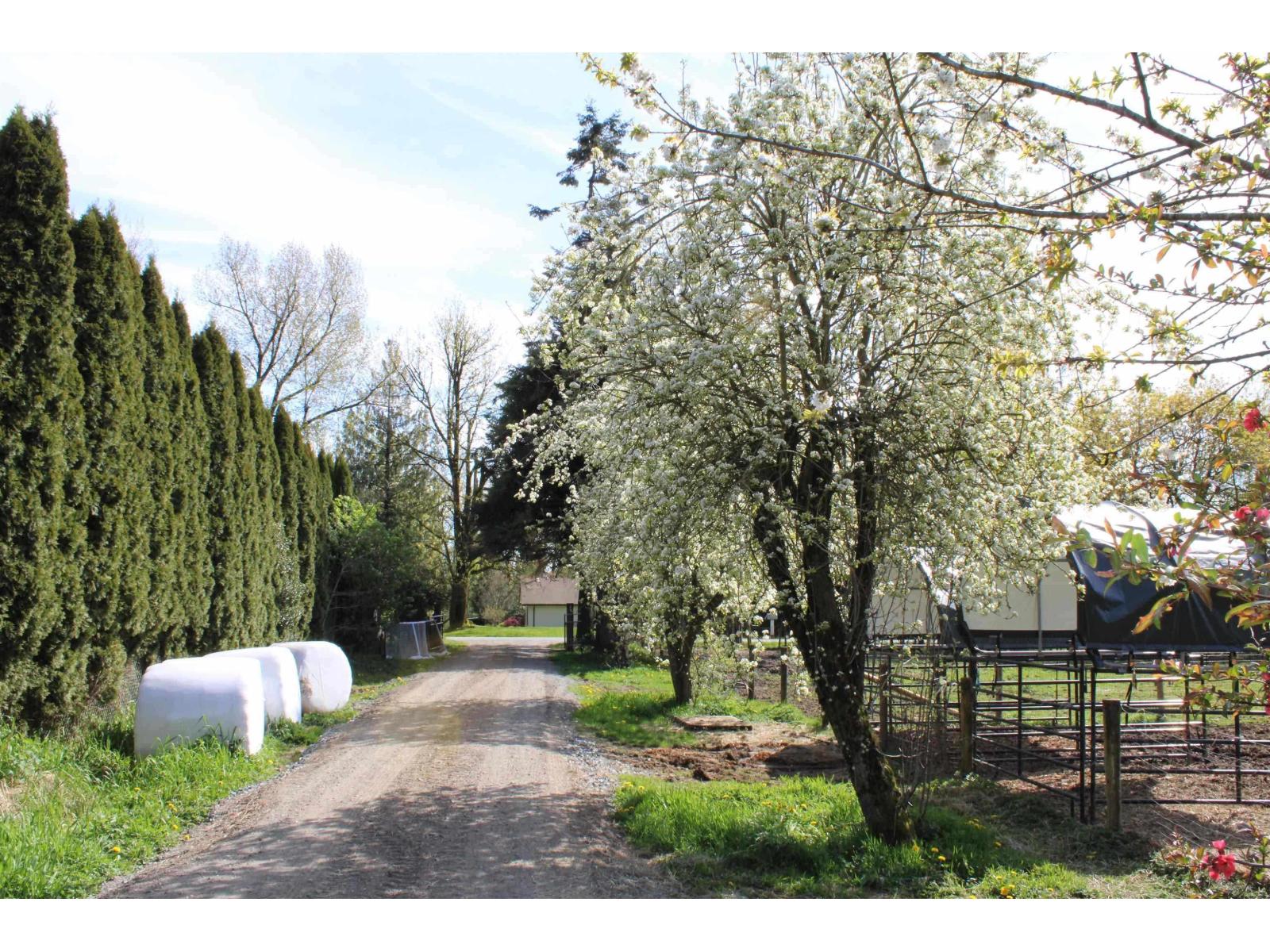 28927 Buchanan Avenue, Abbotsford, British Columbia  V4X 2C8 - Photo 7 - R3114021