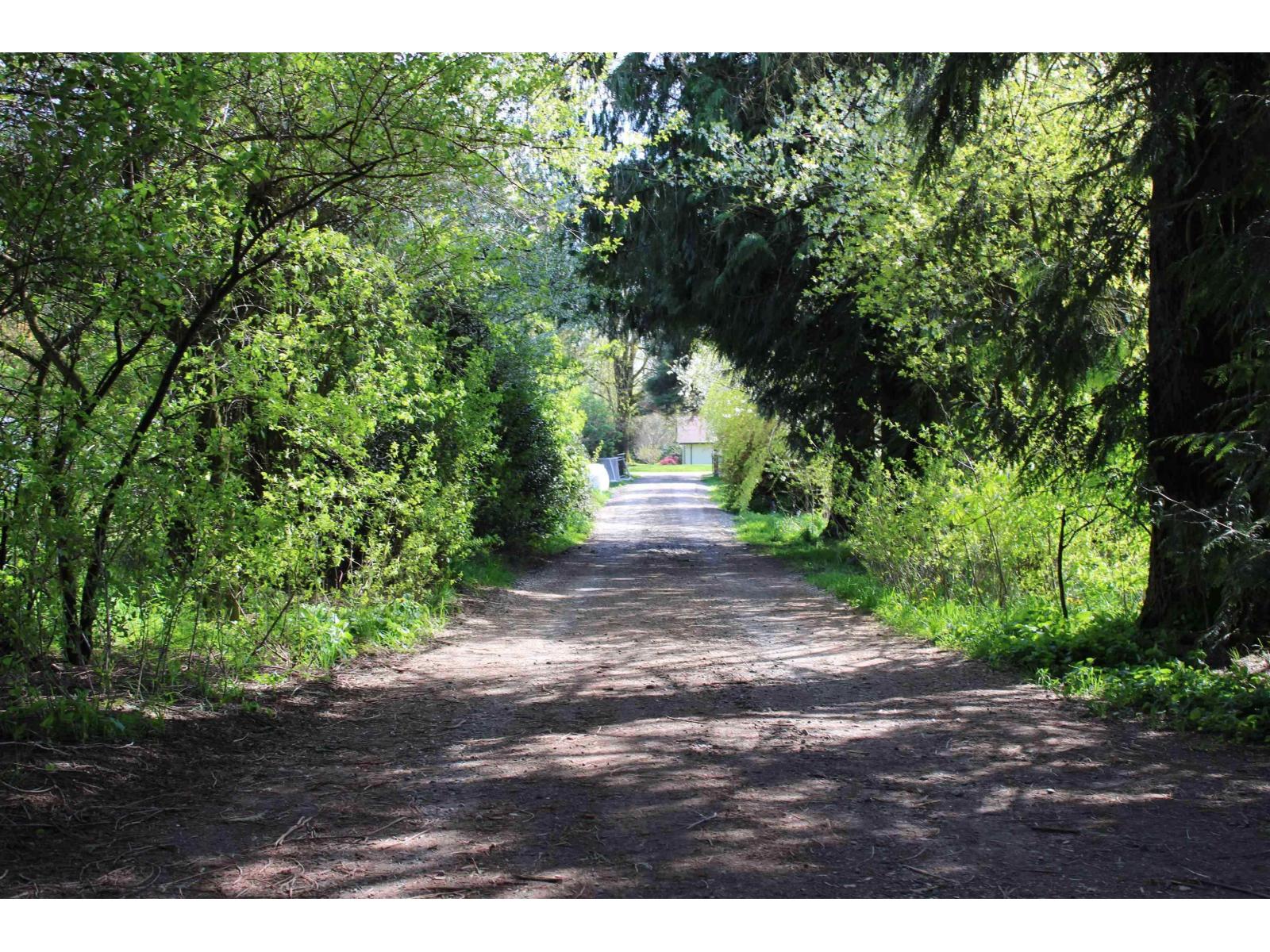 28927 Buchanan Avenue, Abbotsford, British Columbia  V4X 2C8 - Photo 8 - R3114021