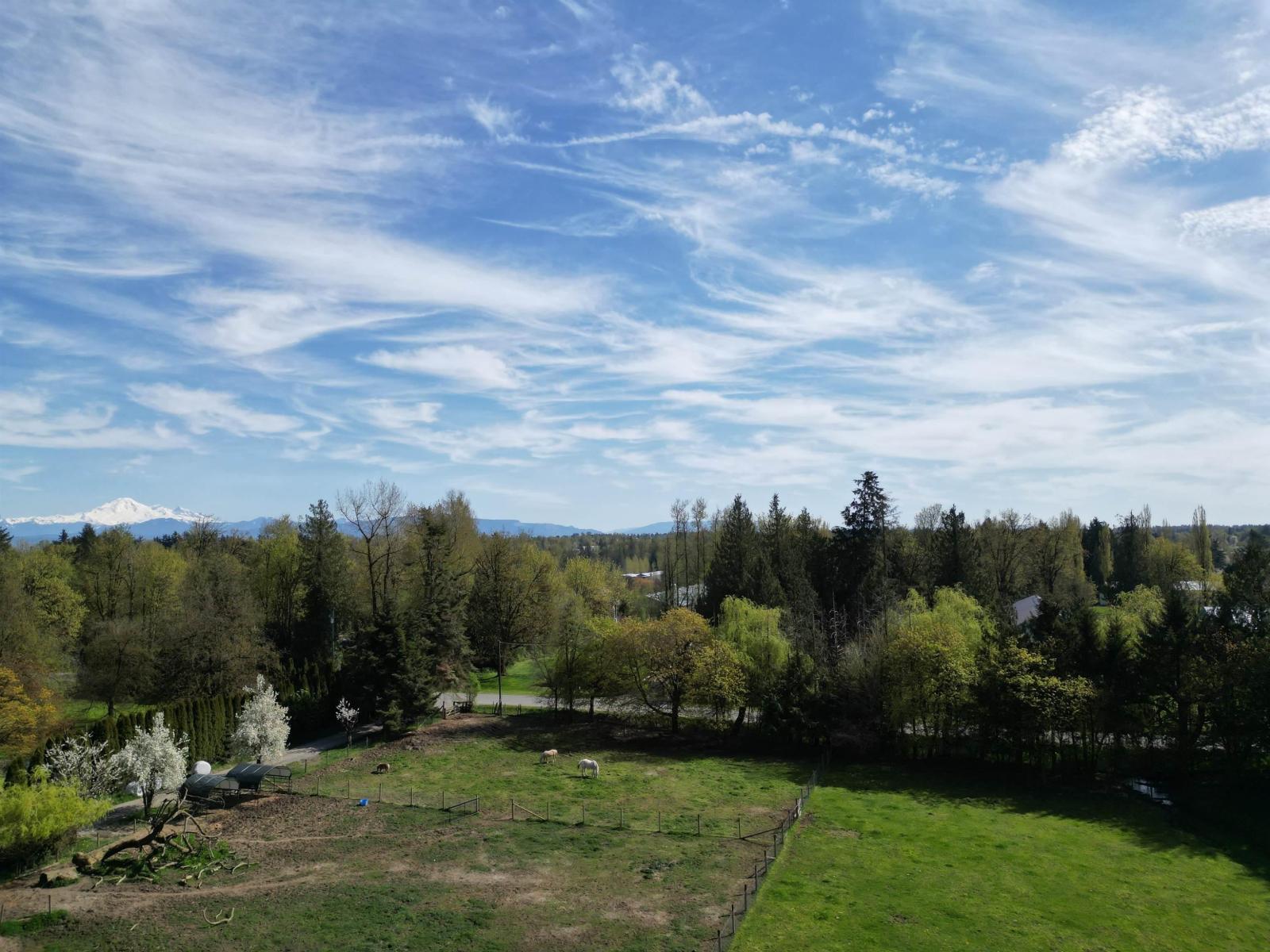 28927 Buchanan Avenue, Abbotsford, British Columbia  V4X 2C8 - Photo 5 - R3114021