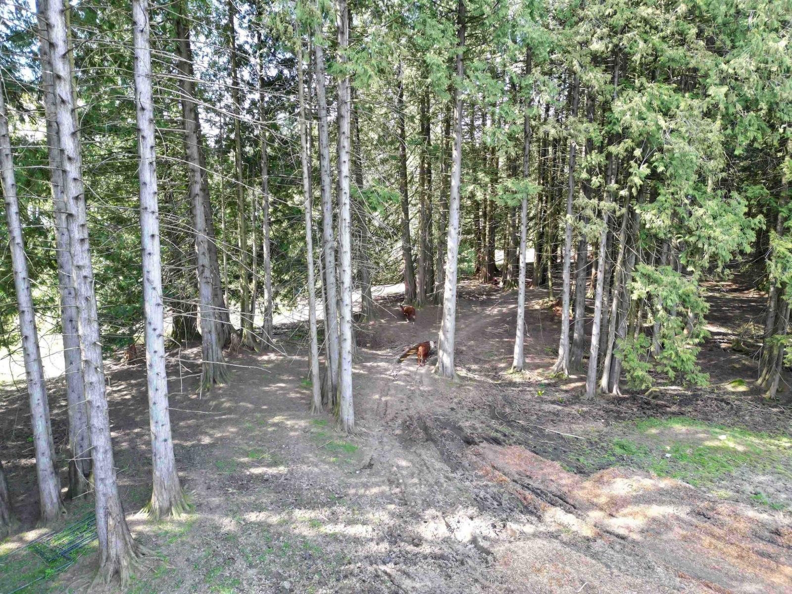 28927 Buchanan Avenue, Abbotsford, British Columbia  V4X 2C8 - Photo 14 - R3114021