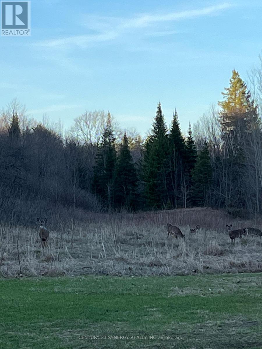 1018 Folger Road, Frontenac (Frontenac North), Ontario  K0H 2J0 - Photo 31 - X13031514