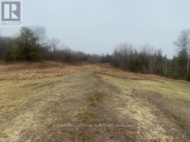 1018 Folger Road, Frontenac (Frontenac North), Ontario  K0H 2J0 - Photo 6 - X13031514