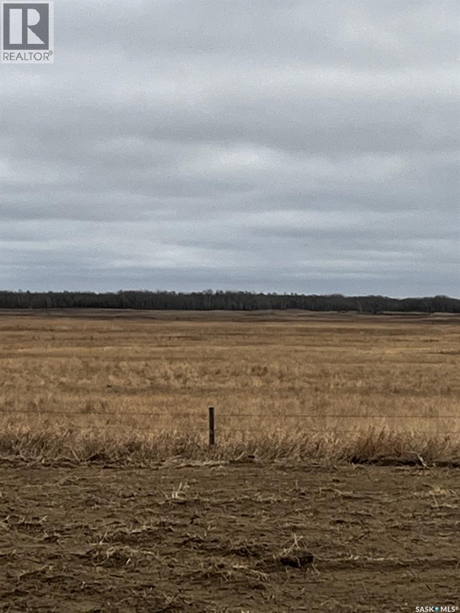 Boire Pasture, Montrose Rm No. 315, Saskatchewan  S0L 0P0 - Photo 4 - SK033651