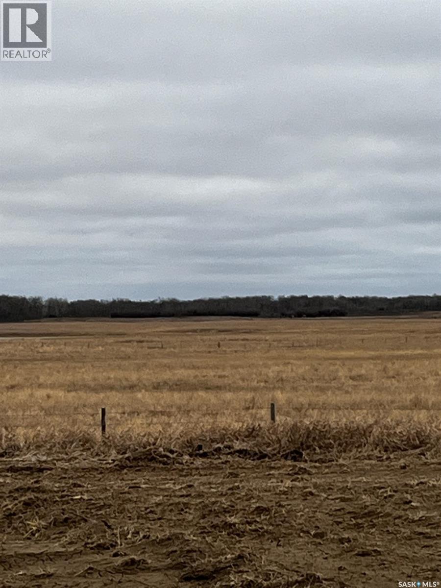 Boire Pasture, Montrose Rm No. 315, Saskatchewan  S0L 0P0 - Photo 5 - SK033651