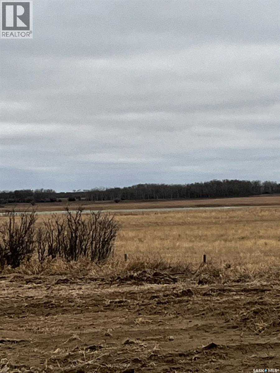 Boire Pasture, Montrose Rm No. 315, Saskatchewan  S0L 0P0 - Photo 6 - SK033651