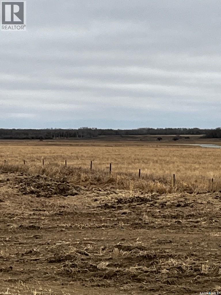 Boire Pasture, Montrose Rm No. 315, Saskatchewan  S0L 0P0 - Photo 7 - SK033651