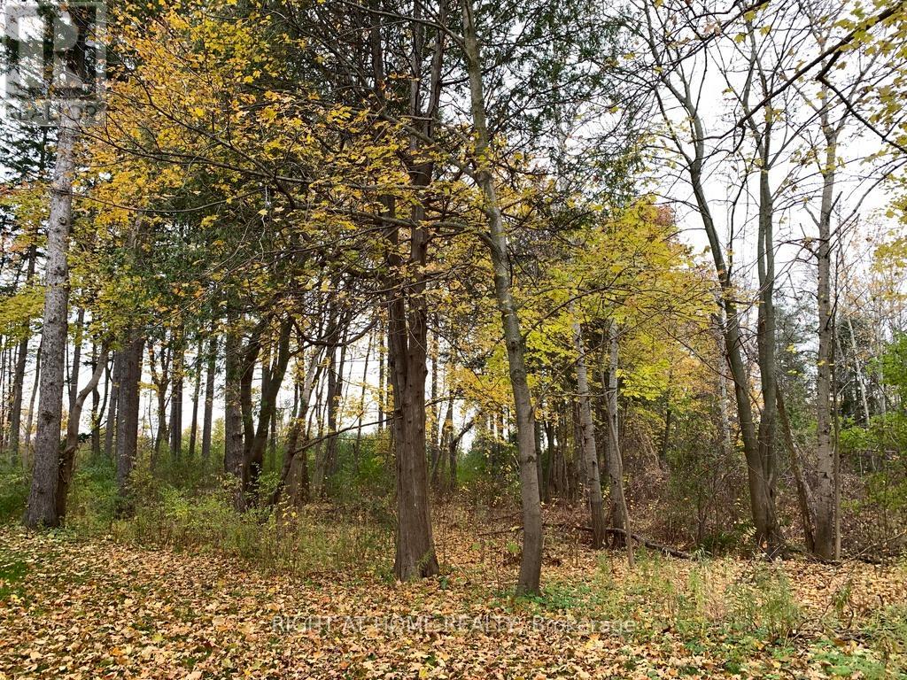 13760 Keele Street, King, Ontario  L7B 1A3 - Photo 27 - N13031474