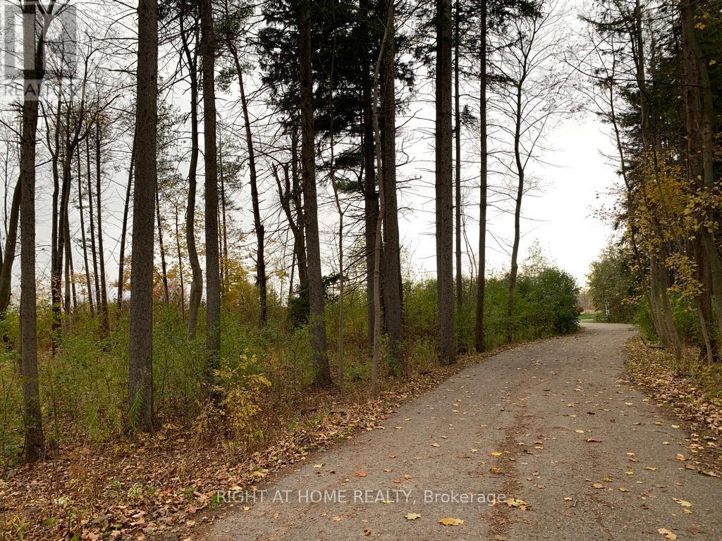 13760 Keele Street, King, Ontario  L7B 1A3 - Photo 7 - N13031474