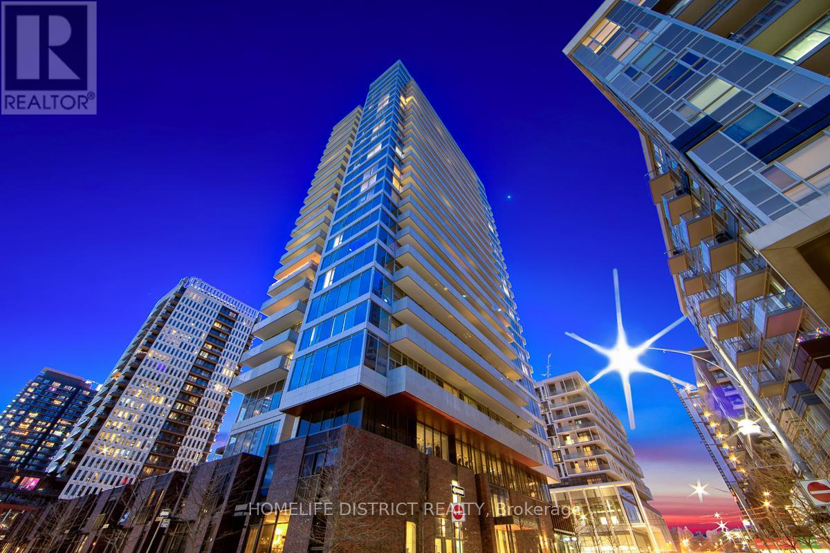 2003 - 20 TUBMAN AVENUE, Toronto, Ontario