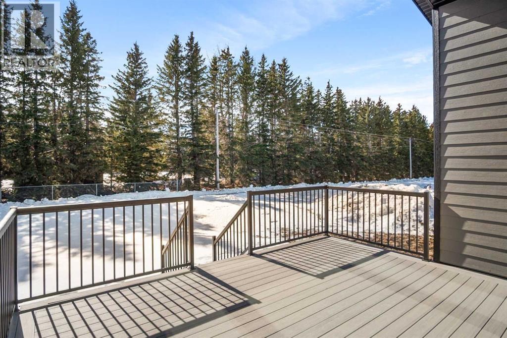 43 Viceroy Crescent, Olds, Alberta  T4H 0G2 - Photo 46 - A2293729