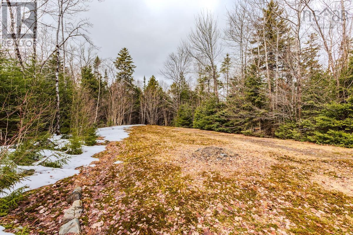 259 Lakecrest Drive, Mount Uniacke, Nova Scotia  B0N 1Z0 - Photo 49 - 202605003