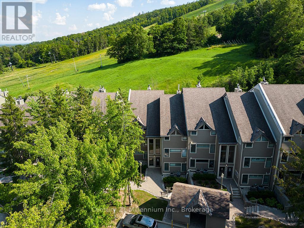 121 - 796404 Grey Road 19, Blue Mountains, Ontario  L9Y 0N8 - Photo 1 - X12263738