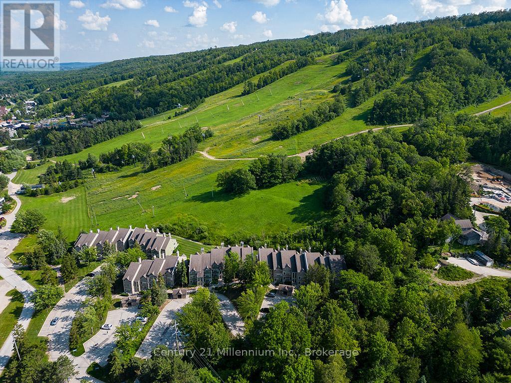 121 - 796404 Grey Road 19, Blue Mountains, Ontario  L9Y 0N8 - Photo 32 - X12263738