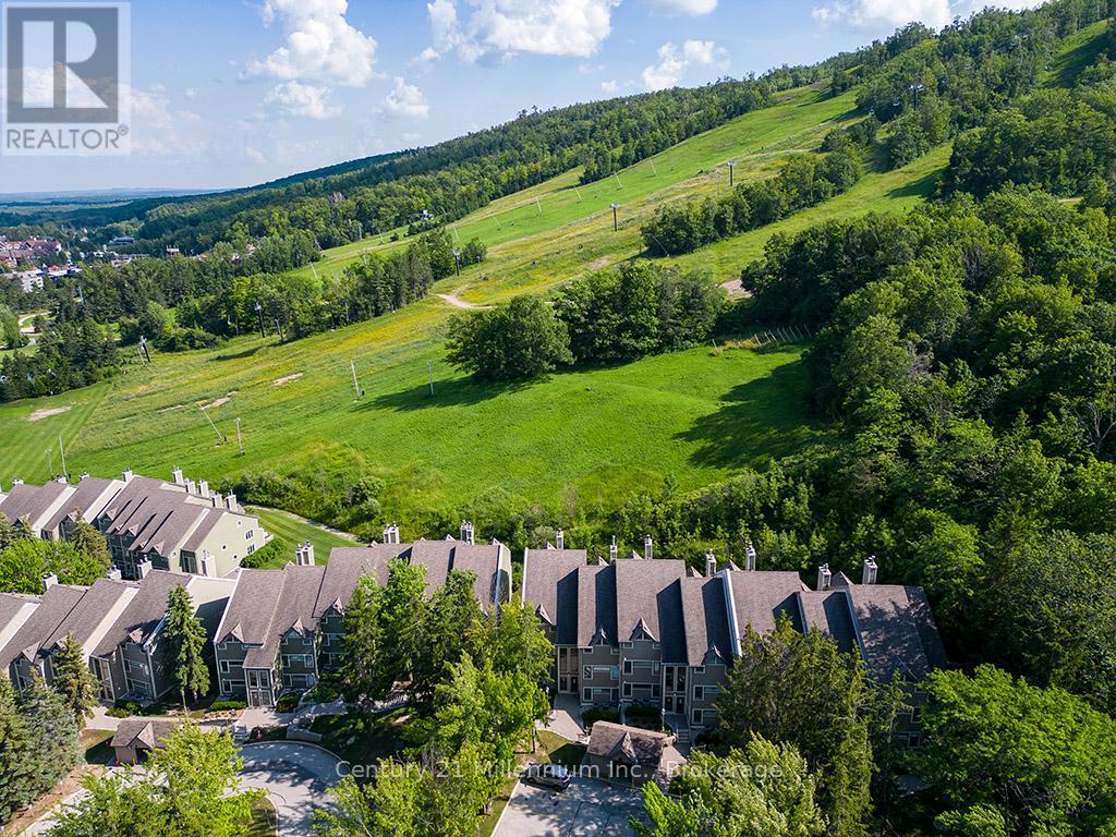 121 - 796404 Grey Road 19, Blue Mountains, Ontario  L9Y 0N8 - Photo 33 - X12263738