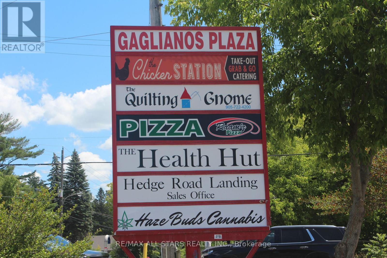 2100 Metro Road, Georgina, Ontario  L0E 1L0 - Photo 11 - N13031550