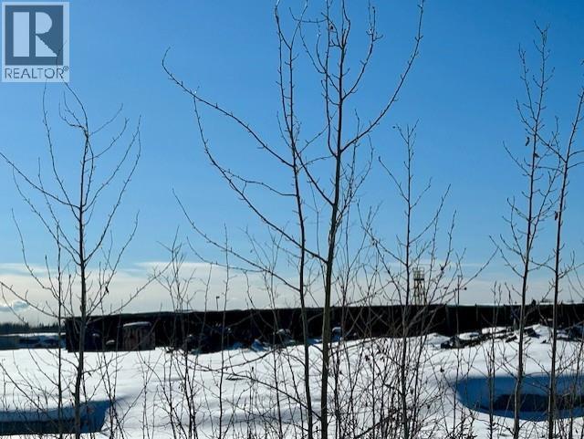 Mile 294 & 295 Alaska Highway, Fort Nelson, British Columbia  V0C 1R0 - Photo 16 - C8077884