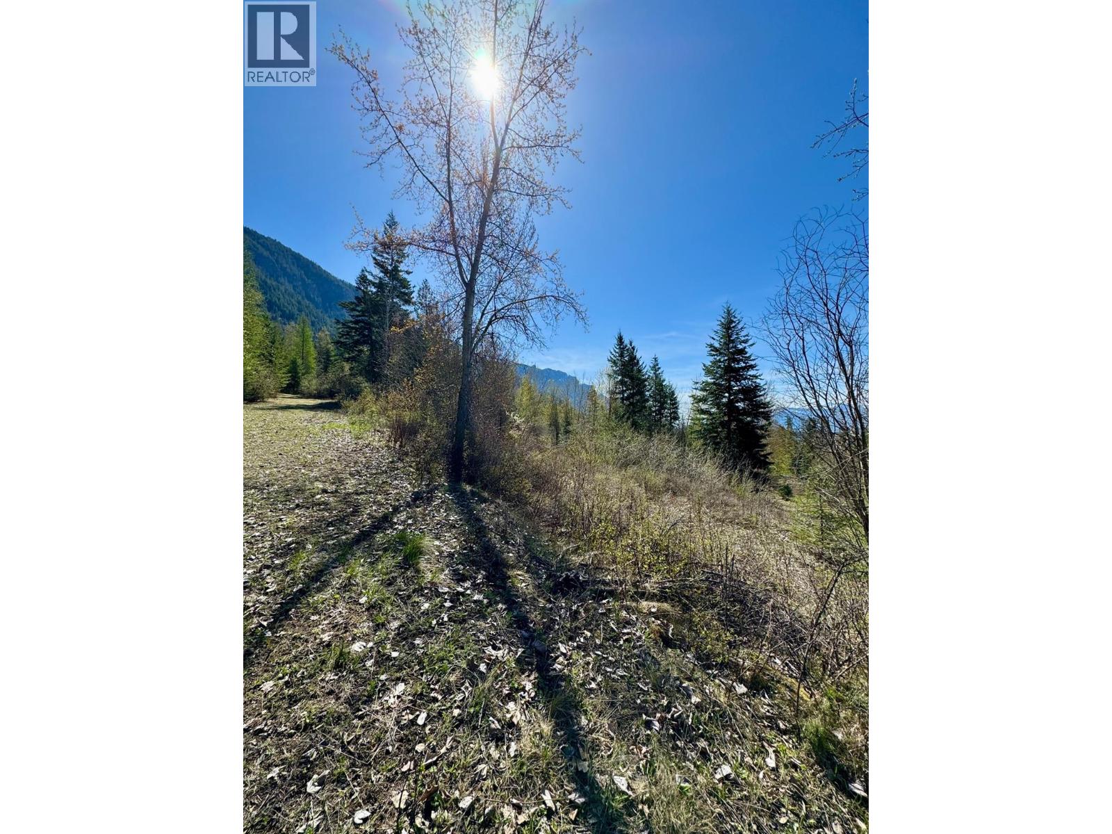 Lot 95 Mehrer Road, Creston, British Columbia  V0B 1C0 - Photo 4 - 10384166