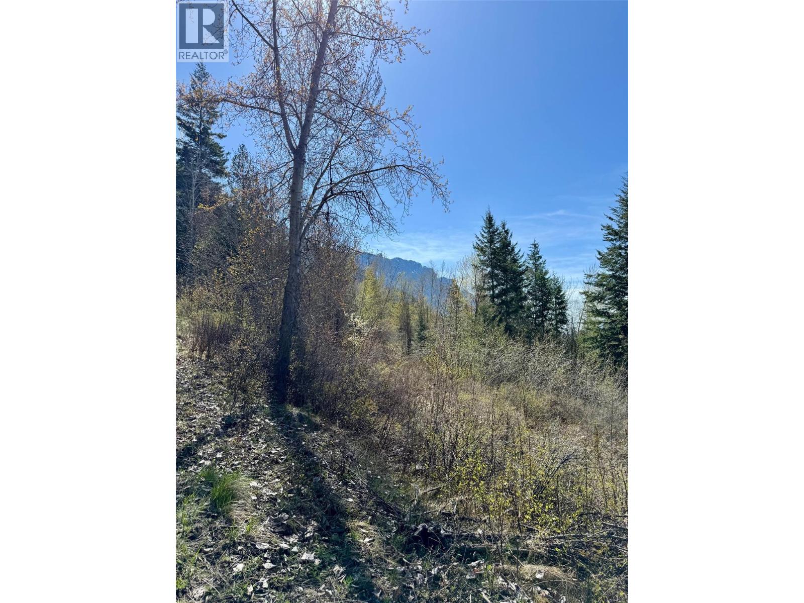 Lot 95 Mehrer Road, Creston, British Columbia  V0B 1C0 - Photo 3 - 10384166