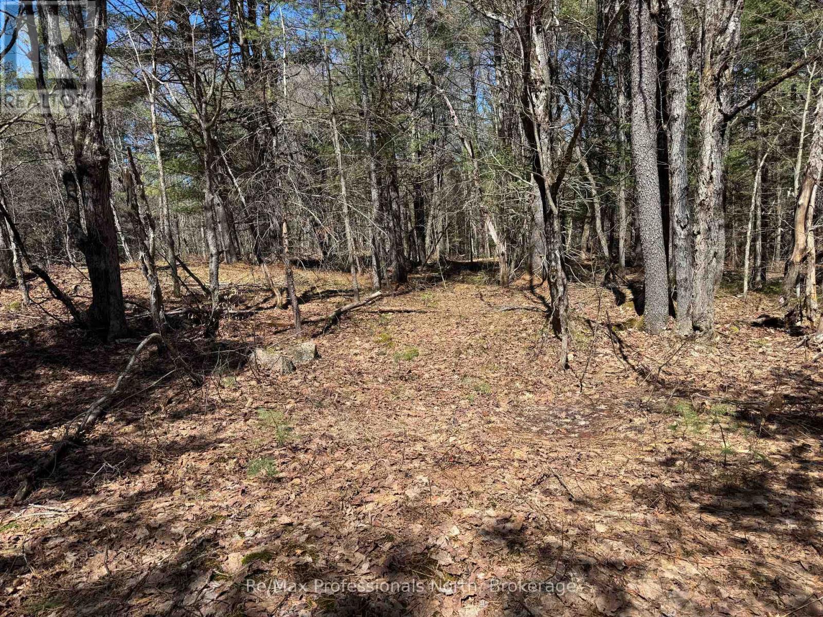 Lot 15 Con 2 Draper, Bracebridge, Ontario  P1P 1R3 - Photo 1 - X13031650