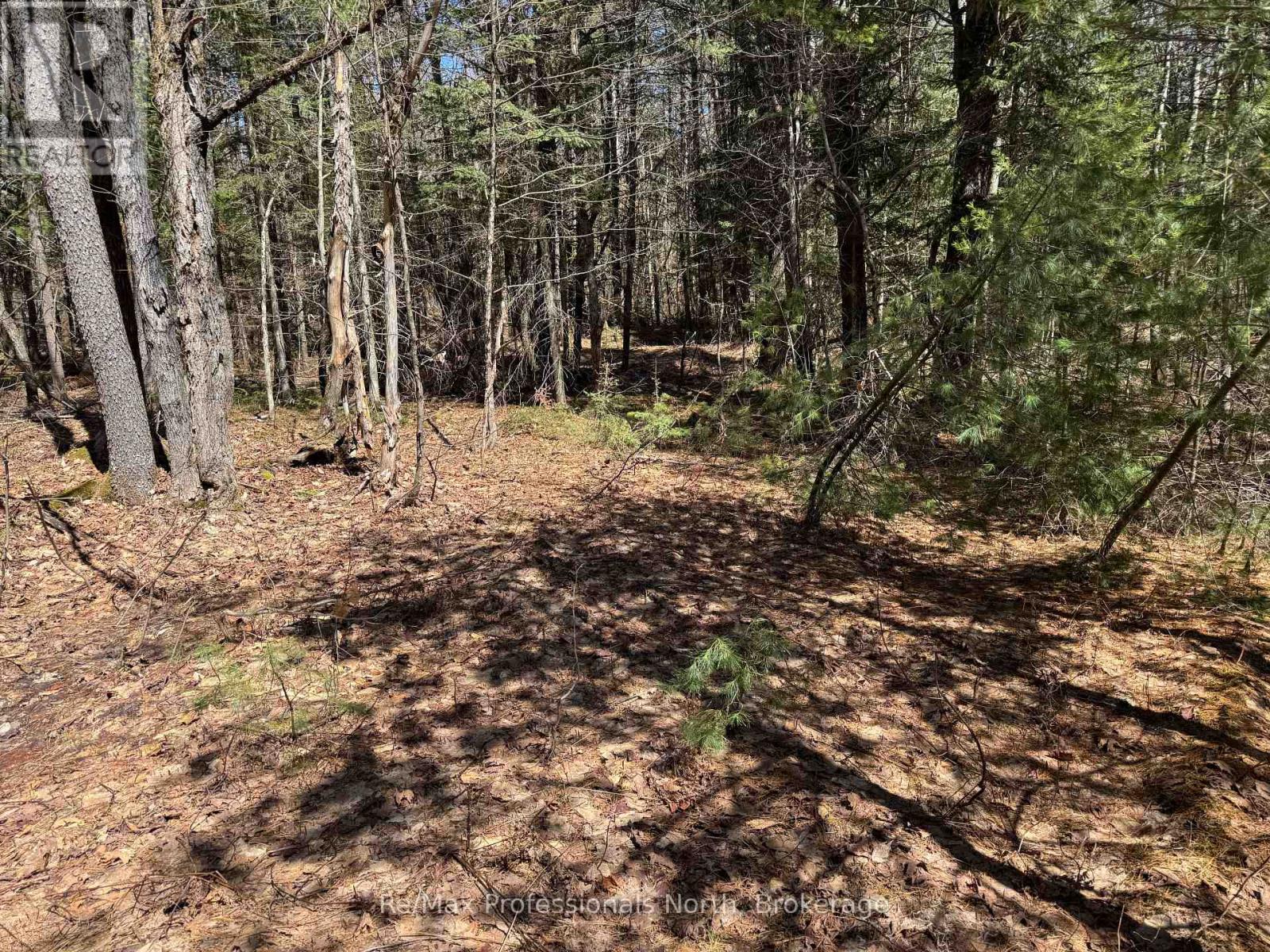 Lot 15 Con 2 Draper, Bracebridge, Ontario  P1P 1R3 - Photo 2 - X13031650