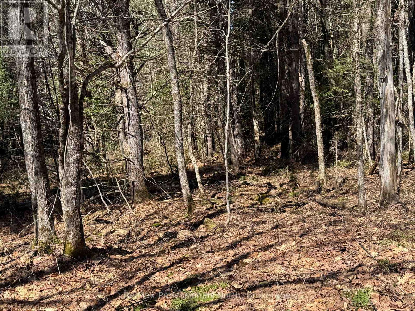 Lot 15 Con 2 Draper, Bracebridge, Ontario  P1P 1R3 - Photo 4 - X13031650