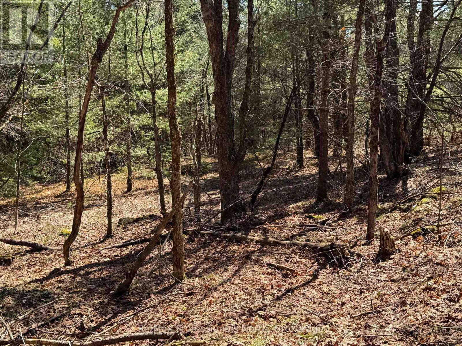 Lot 15 Con 2 Draper, Bracebridge, Ontario  P1P 1R3 - Photo 5 - X13031650