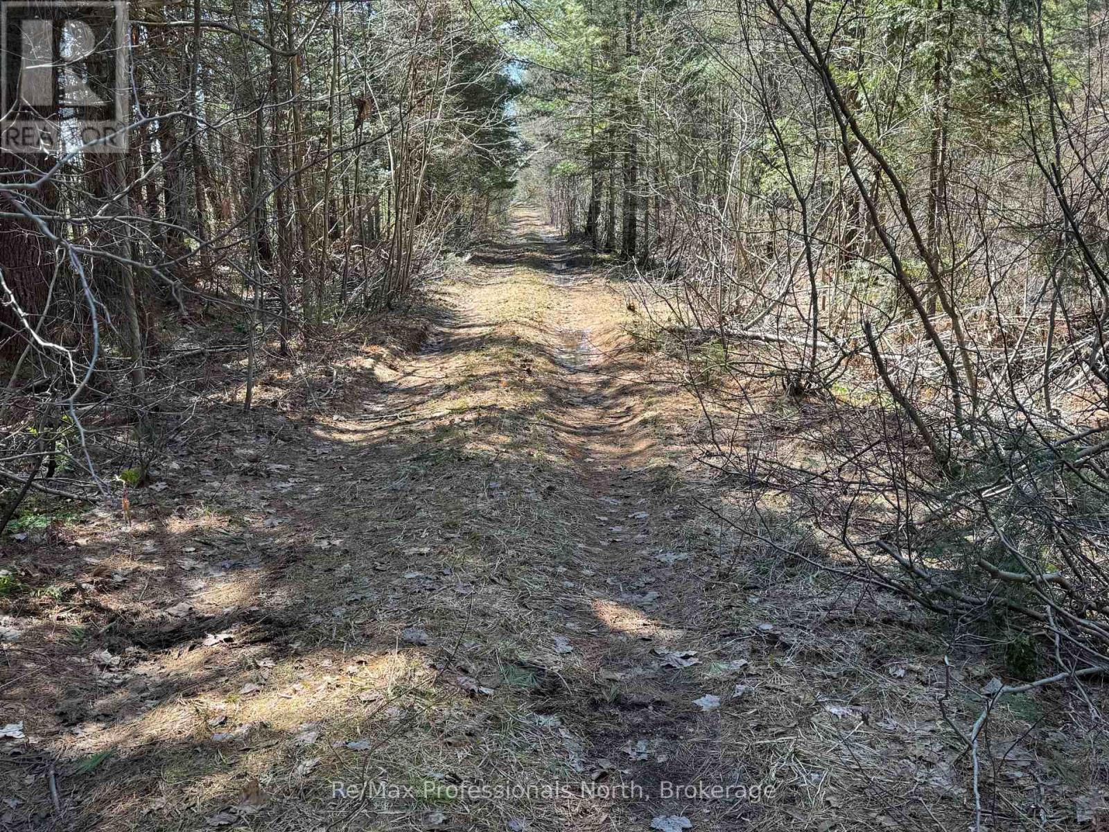 Lot 15 Con 2 Draper, Bracebridge, Ontario  P1P 1R3 - Photo 8 - X13031650