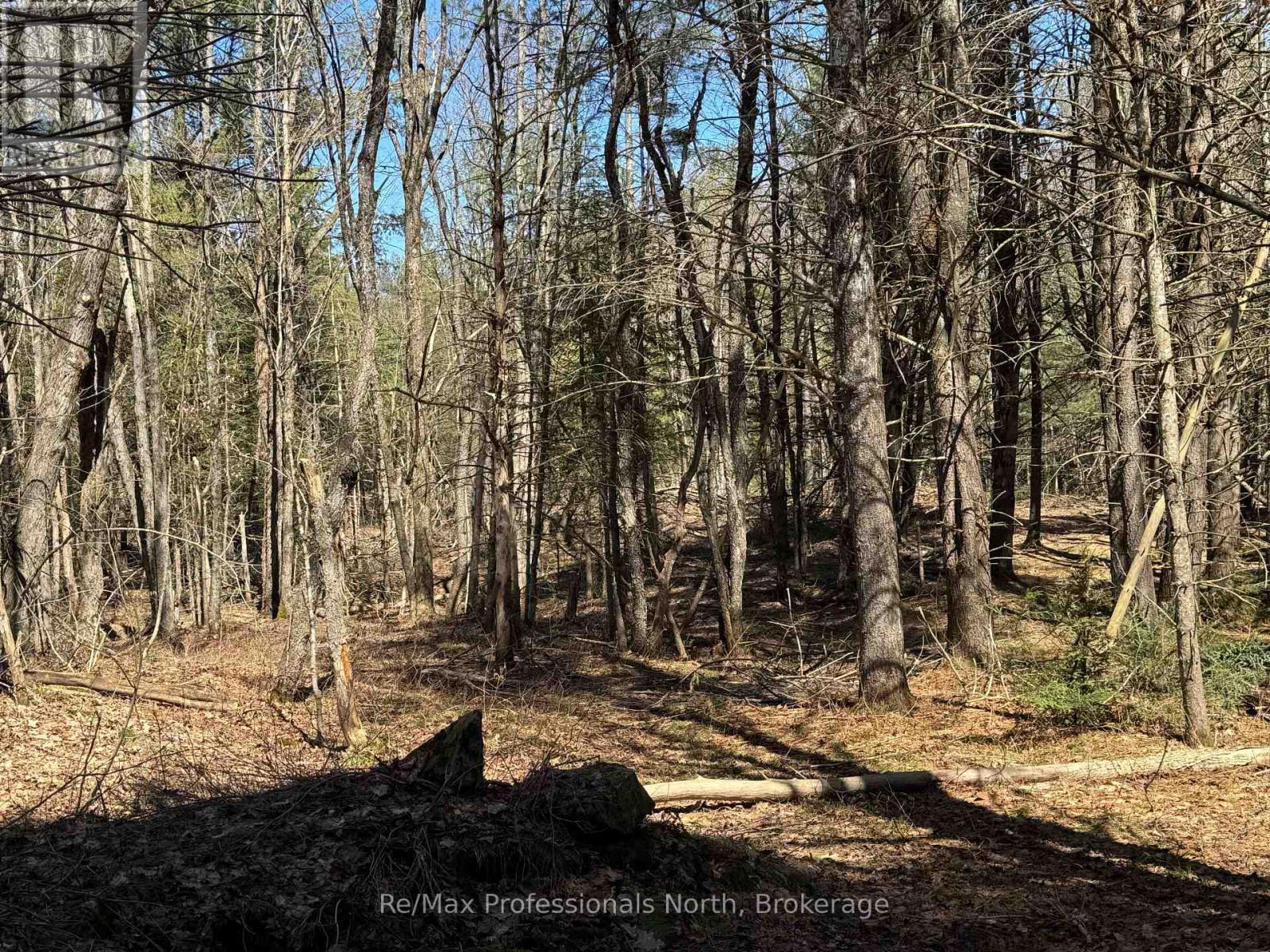 Lot 16 Con 2 Draper, Bracebridge, Ontario  P1P 1R3 - Photo 4 - X13031664