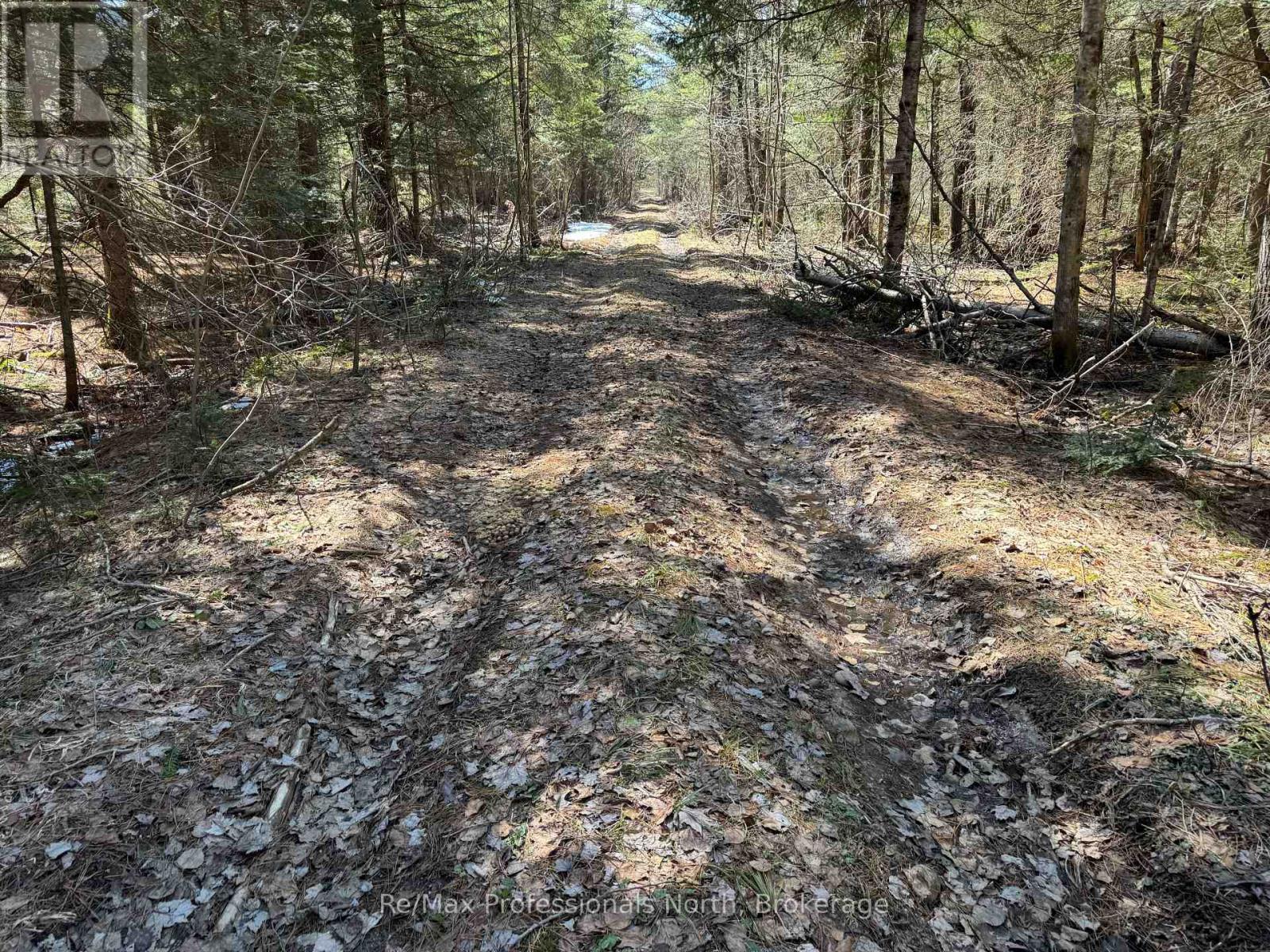 Lot 16 Con 2 Draper, Bracebridge, Ontario  P1P 1R3 - Photo 6 - X13031664