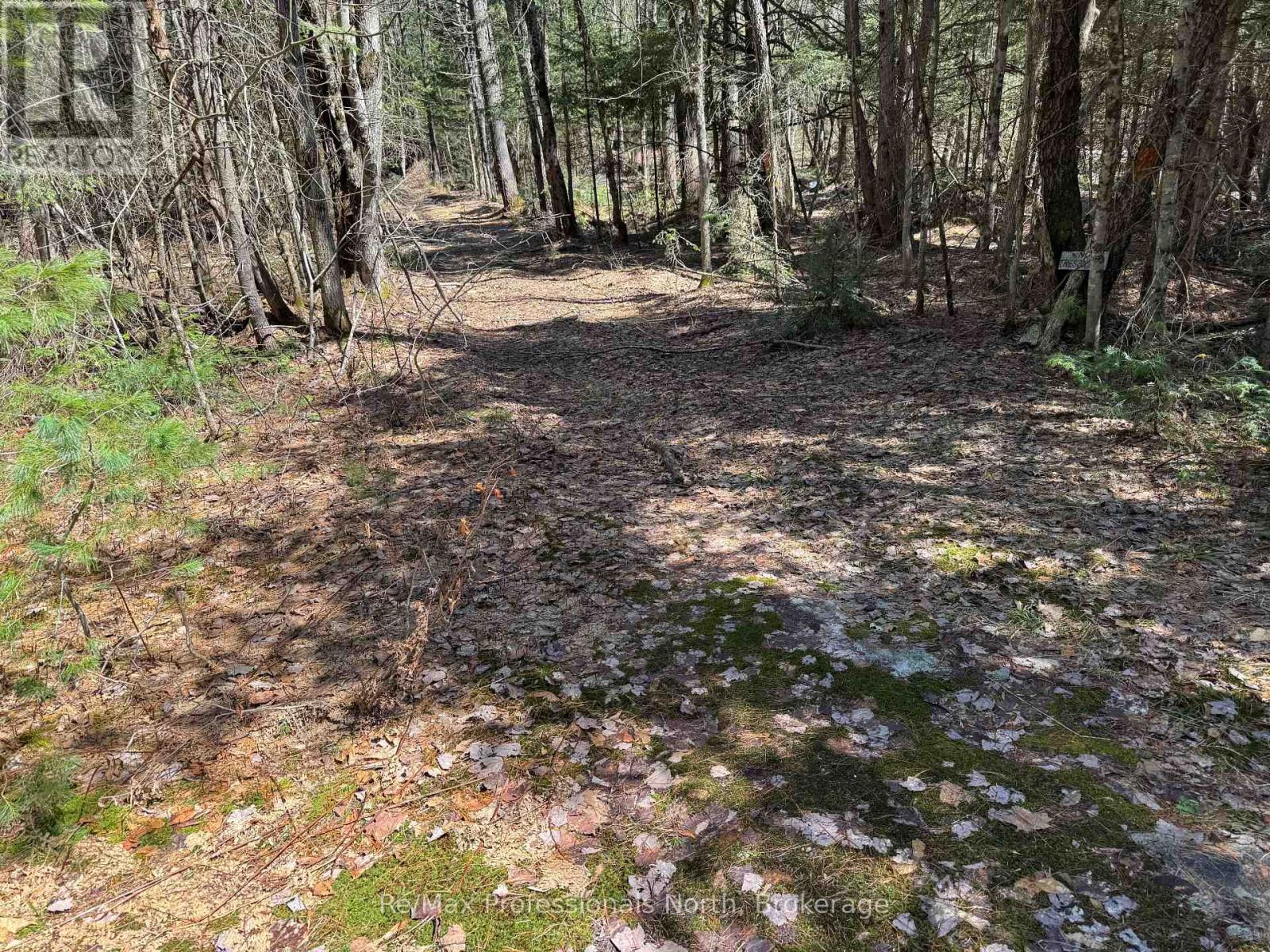 Lot 16 Con 2 Draper, Bracebridge, Ontario  P1P 1R3 - Photo 8 - X13031664